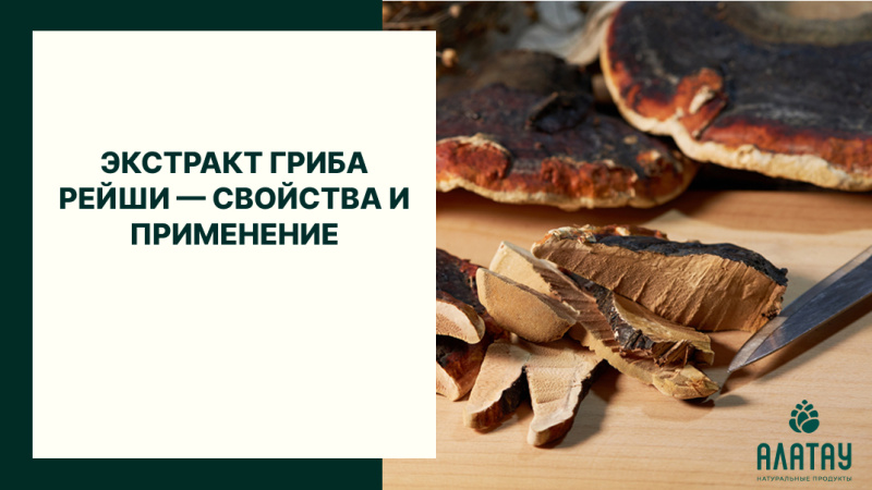Экстракт гриба Рейши — свойства и применение