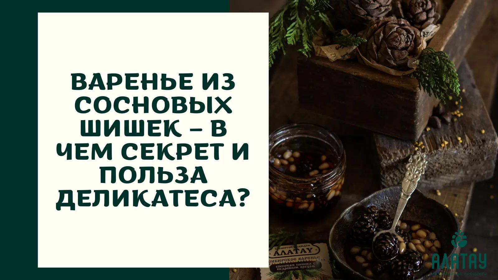 Варенье из сосновых шишек – в чем секрет и польза деликатеса?